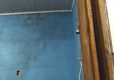 For You My Subscribe.