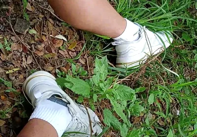 Compilation Pisses Urine by Master David