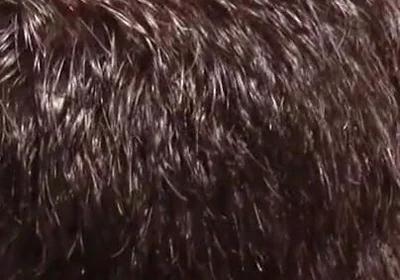 French bottom fucked bareback in the swimming pool by 2 rented boys