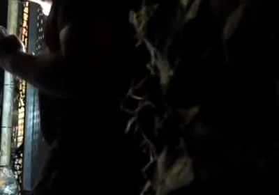 Ayden Taylor used raw by Nicolas Bardem