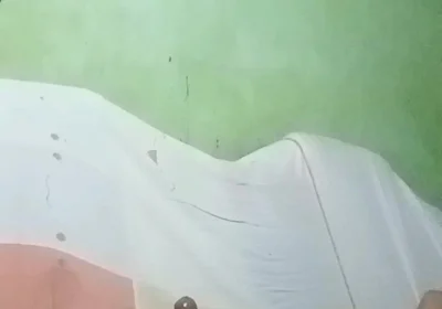 The Fat Penis of a Young Man Working on the Farm