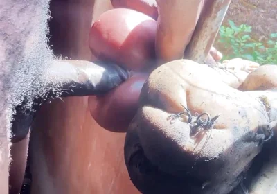 Fucking Sex Toys