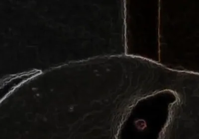 Amateur Boy Double Anal Penetration