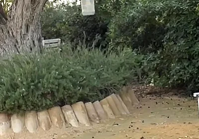 Agf: I Have Fun with My Friend in the Park in Full View of Everyone! Pee Included.