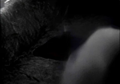 Hump Masturbation Black and White with the First Real Webcam in 1996