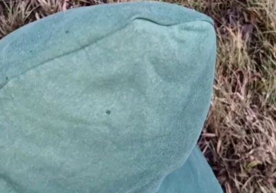 Fuck a Taxi Driver for a Free Ride, Big Cocks, Sex, and Lots of Cum!