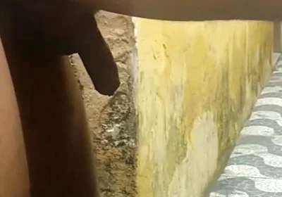 My Neighbor Loves to Play with Me in the Backyard