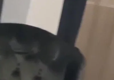 Blessed fucked raw by Casio