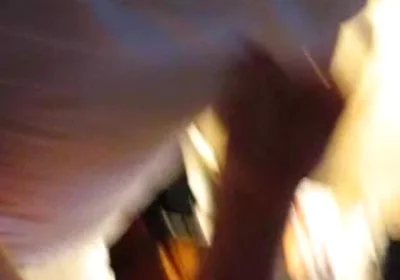 Vintage Clips of Beardaddychub