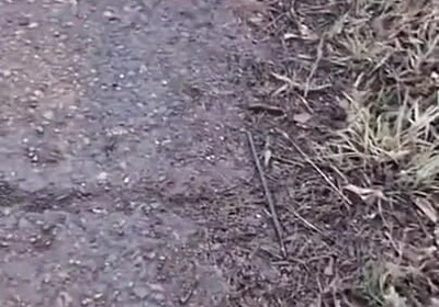 Fuck a Taxi Driver for a Free Ride, Big Cocks, Public Sex, and Lots of Cum!