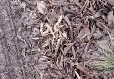 I Caught a Passenger Jerking off in the Back Seat, and I Fucked Him for It and Left Him on the Highway